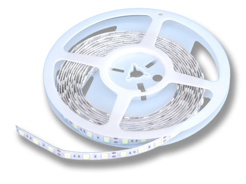 Cool White LED Strip (24V, Indoor, Single Density, 16'4" Reel) - LiteControls